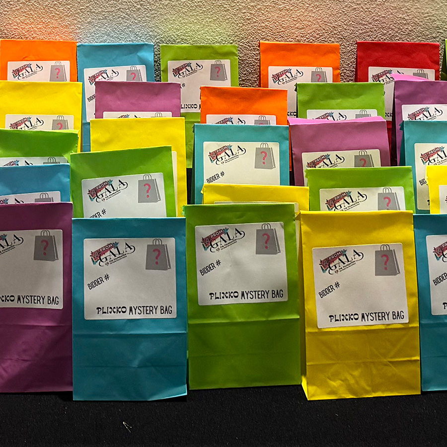 Plinko mystery bags - gala 2025